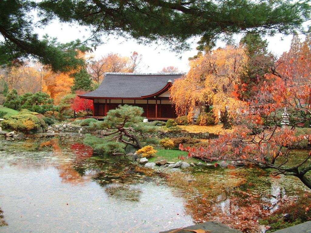 Bild japanischer Garten mit Haus und Teich